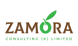 Zamora consulting